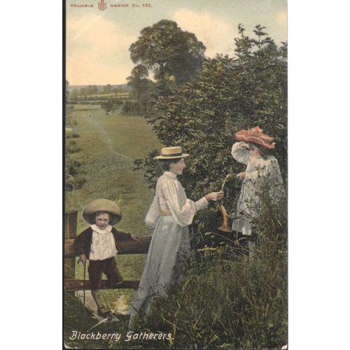 Antique Reliable Series PC 1908 - Blackberry Gatherers - No. 833