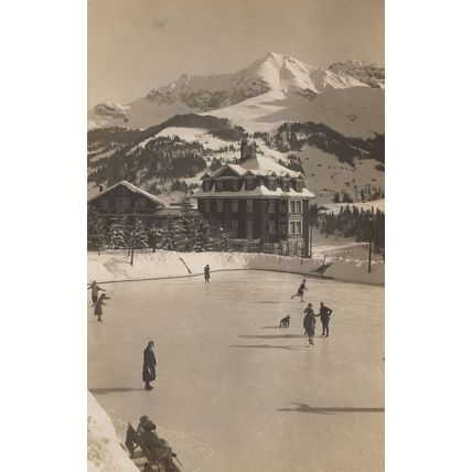 Dog Skating On Ice Rink at Hotel Schonegg Adelboden Switzerland Postcard