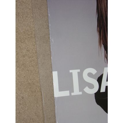 LISA MARIE PRESLEY NOW WHAT ALBUM TOUR PROMOTIONAL POSTER 18 x 24 2005
