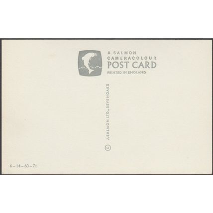 The Grey Horse, c.1970 - Salmon Postcard