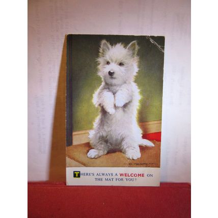 WHITE DOGGY by D. Tempest used POSTCARD BAMFORTH & CO 1961 pm =