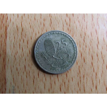 Cyprus 1971 25 Mils Coin