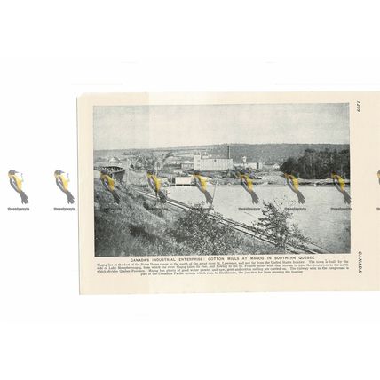 Cotton Mills, Magog, Quebec, Canada, Book Illustration, c1920