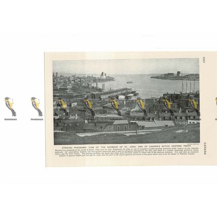 St John Harbour, New Brunswick, Canada, Book Illustration, c1920