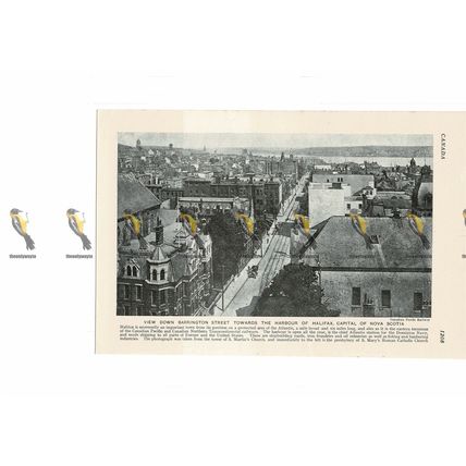 Barrington St, Halifax, Nova Scotia, Canada, Book Illustration, c1920