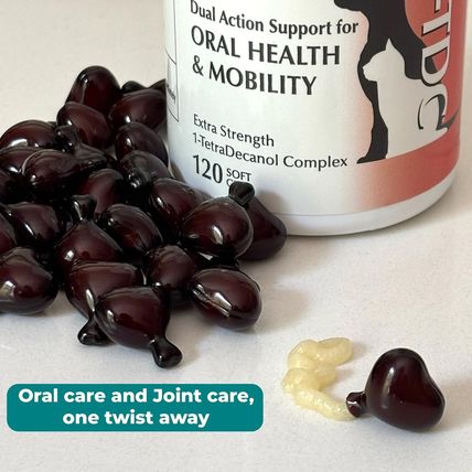 Workssowell Dual Action Natural Support - 120 Twist off Soft Gels | Delivers 4 H
