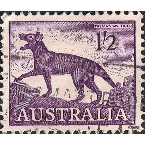 AUSTRALIA, MAMMALS, Thylacine, Thylacinus cynocephalus, violet 1962, 1/2