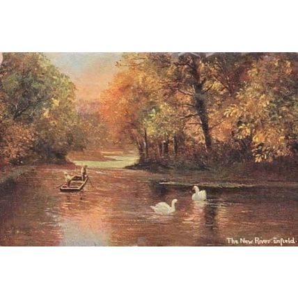 Enfield New River Middlesex Antique Swan Lake Boat Postcard