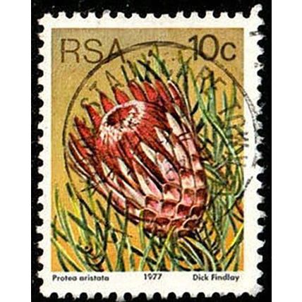 South Africa RSA 1977 Flowers Protea 10c Used Stamp