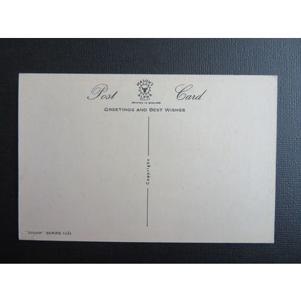 Waiting For The 'Male' ! Artist Signed Dinah Postcard