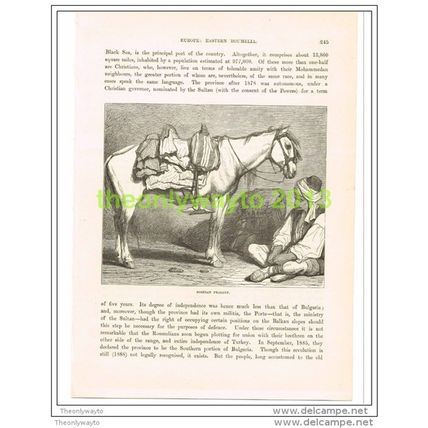 BOSNIAN PEASANT, BOSNIA, Book Illustration c1890
