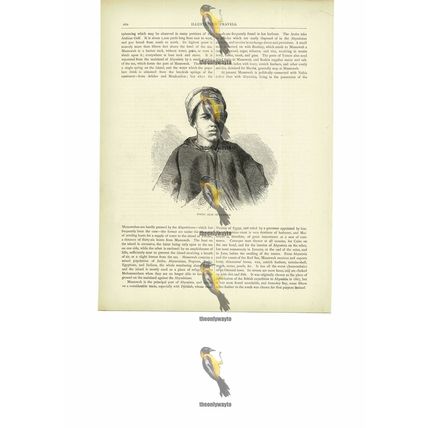 Young Arab Of Djiddah (Jeddah), Red Sea, Book Illustration (Print), c1880
