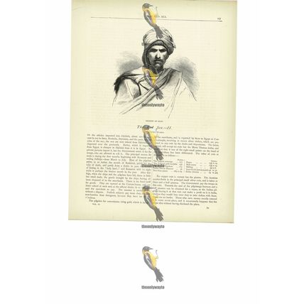 Bedouin Of Sinai, Red Sea, Book Illustration (Print), c1880