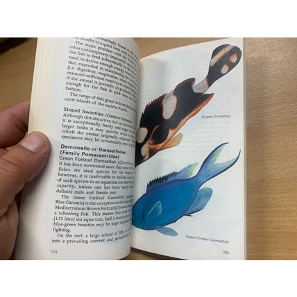 1980 "TROPICAL MARINE AQUARIA" ILLUSTRATED VINTAGE PAPERBACK BOOK (P2)