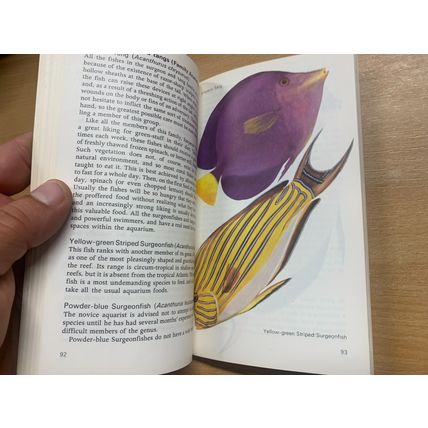 1980 "TROPICAL MARINE AQUARIA" ILLUSTRATED VINTAGE PAPERBACK BOOK (P2)