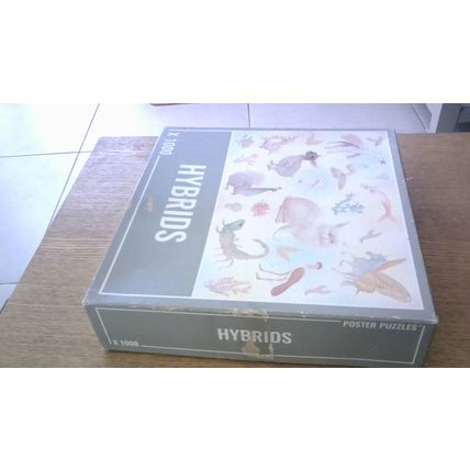 HYBRIDS Jigsaw Puzzle (1000 Piece) Cloudberries