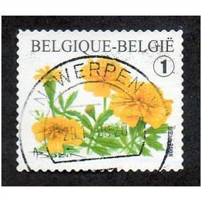 BEL 2008 (54c)(S/A) 'FLOWERS-TAGERTES PORTULA' FINE USED (EBID29-137)