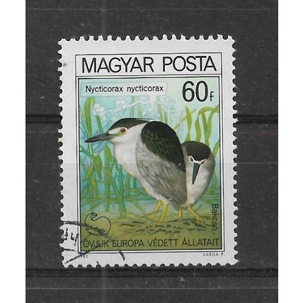 Hungary.SG3341 60fi Black-crowned Night Heron.Fine Used.Oct22