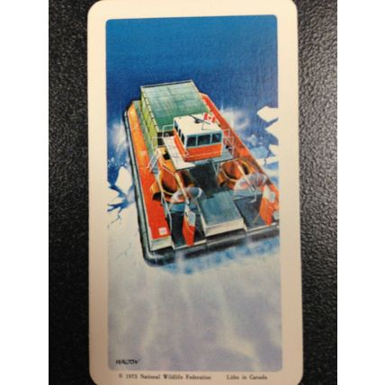 Red Rose Tea Card - Blue Ribbon The Arctic Series 16 - Set of 10 cards
