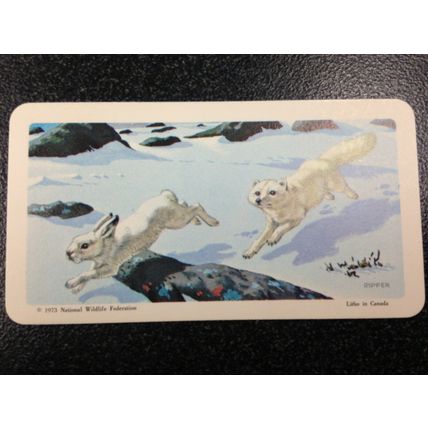 Red Rose Tea Card - Blue Ribbon The Arctic Series 16 - Set of 10 cards