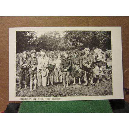 CHILDREN OF THE NEW FOREST, HAMPSHIRE unused postcard