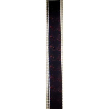 Dracula . Pk AA - b030B. 1 STRIP OF 10 - 35MM FILM CELLS