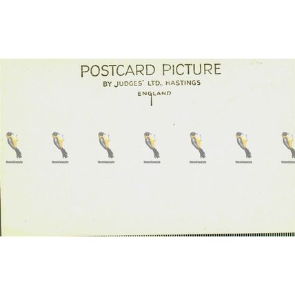 Aberglaslyn Pass, N Wales, 8494 Judges, Postcard