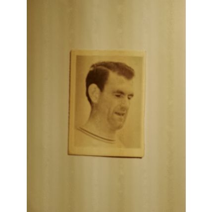 A&BC gum footballer picture card #30 Terry allcock