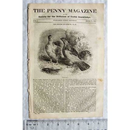 1835 The Penny Magazine No. 218 Grouse, China, Alcantara, old magazine, etc.