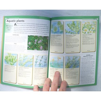 Water Garden Specialist A&G Bridgewater Guide to Designing, Maintaining