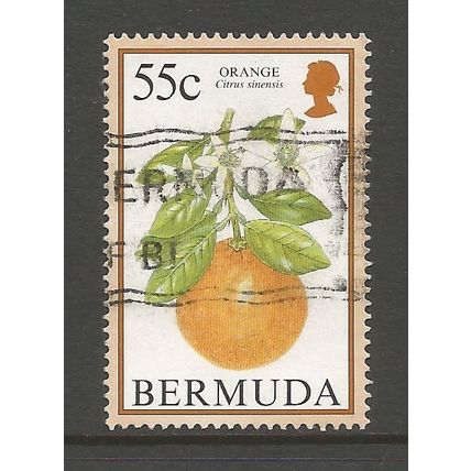 Bermuda 1994 Flowering Fruits 55c, used. SG710A