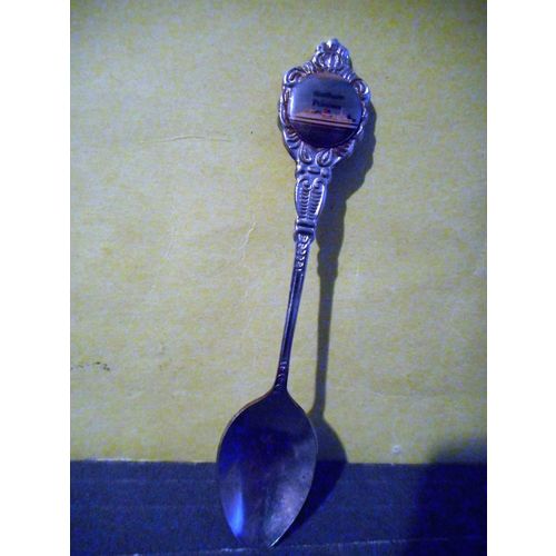 Northern Princess Ship Collector Souvenir Teaspoon,Tea Spoon