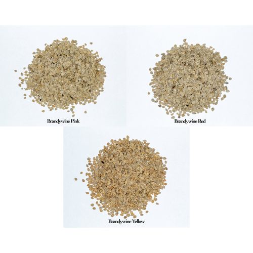 50+ Heirloom Brandywine Tomato Variety Seed Pack Pink Red Yellow Non-GMO