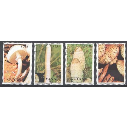 GUYANA 1990 - Fungi - Mushrooms - Flora - Plants - CTO