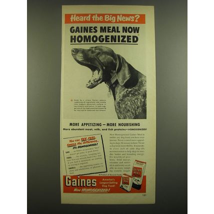 1951 Gaines Dog Food Ad - Heard the big news?