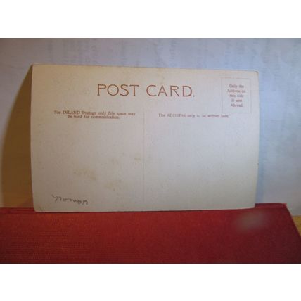 THE AVENUE, GUY'S CLIFFE, near WARWICK . unused vintage postcard =