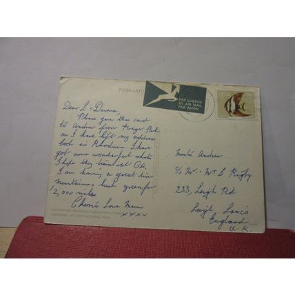 LIONESSES, KRUGER NATIONAL PARK, SOUTH AFRICA used postcard 1973 stamp =