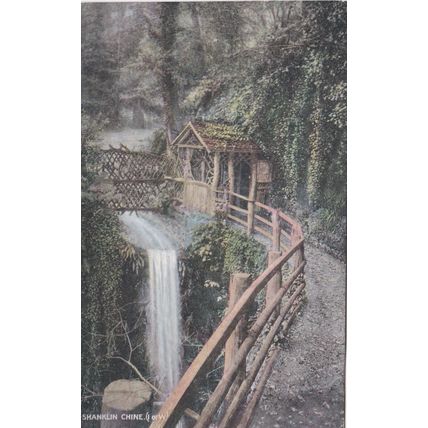 EC899 SHANKLIN CHINE . PRINTED POSTCARD