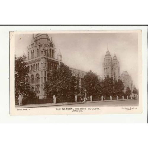 LONDON Natural History Museum Postcard by Davidson Bros. (5035-1)