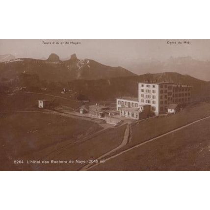 Rochers De Naye L'Hotel Dents Du Midi Tours D'Ai Et De Mayen RPC French Postcard