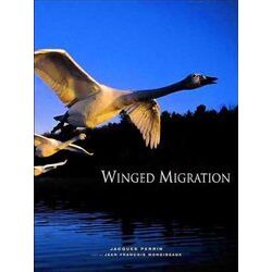 Winged Migration