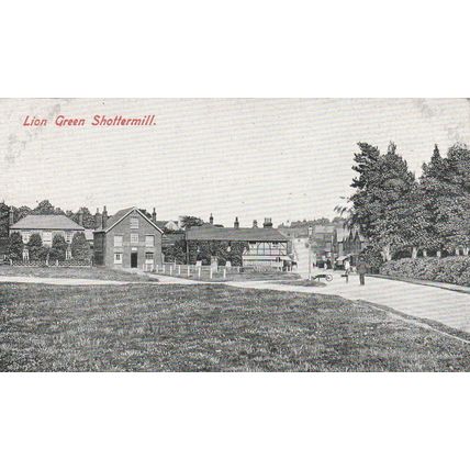 Lion Green Shottermill Sussex Postcard (SX77777)