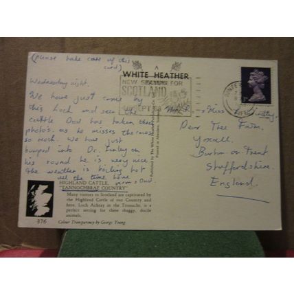 HIGHLAND CATTLE, LOCH ACHRAY, TROSSACHS used postcard by White Heather 1969 pm =