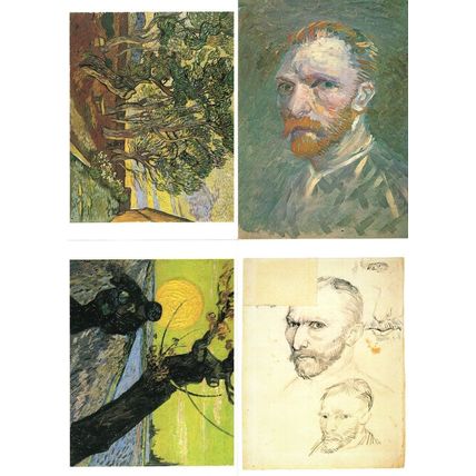 Van Gogh The Sower Garden Of St Pauls Hospital Portrait 4x Postcard s