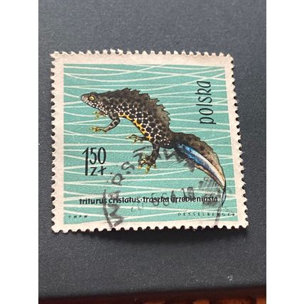 Briefmarke Polen 1,50 Zloty 1963 Michel 1400 gestempelt