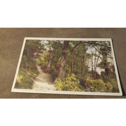Early R.A.P Postcard - Mill Fields Walk, Hornchurch - London Borough of Havering