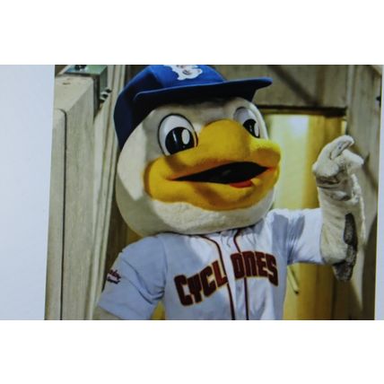 2024 brooklyn cyclones scarf