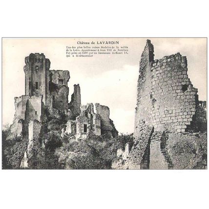 41 - le château de Lavardin