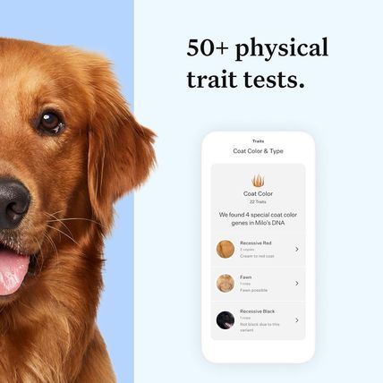 Wisdom Panel Essential Dog DNA Kit: Most Accurate Test for 365+ Breeds, 30 Genet