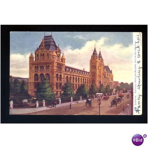 LONDON Natural History Museum Tuck Oilette Postcard (1450)